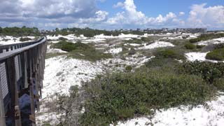 Another view NE